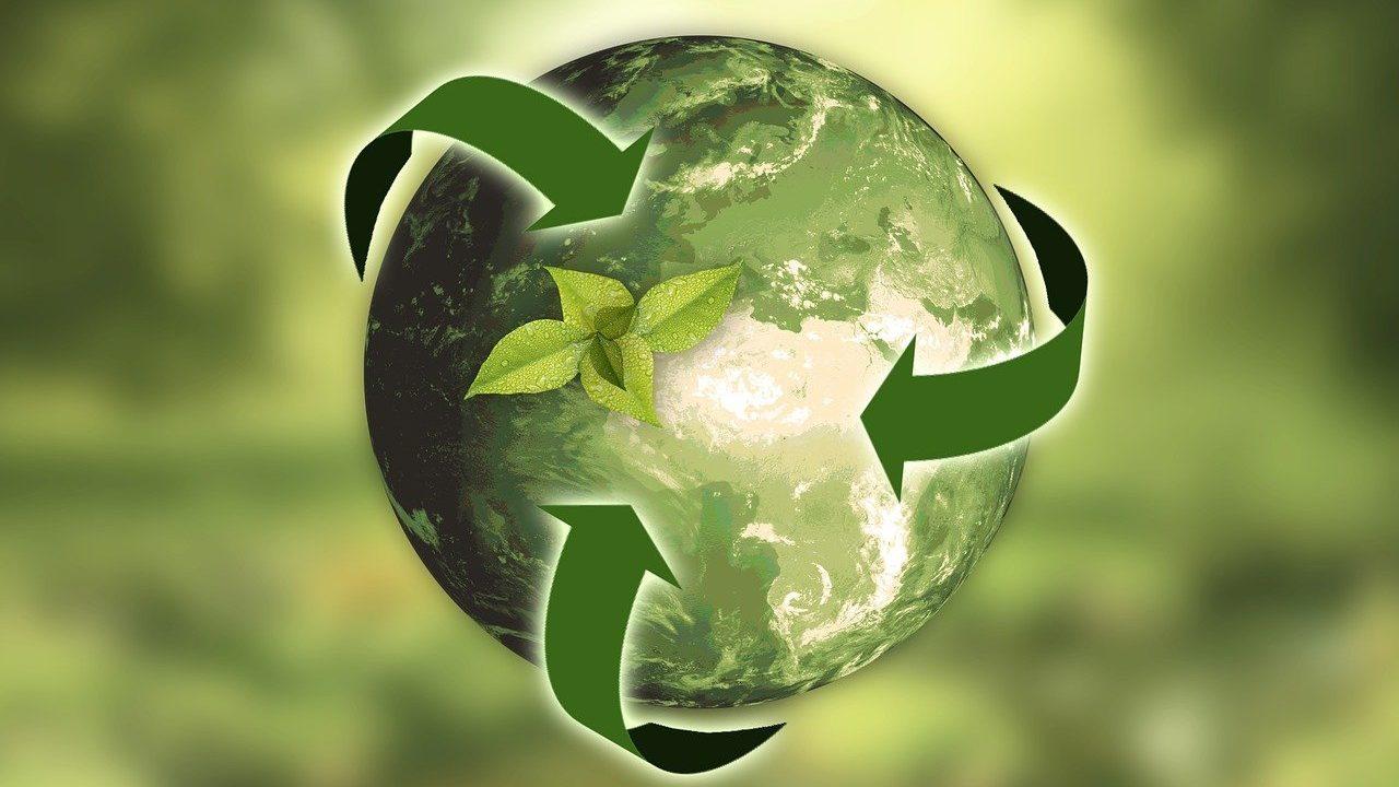 Sustainability